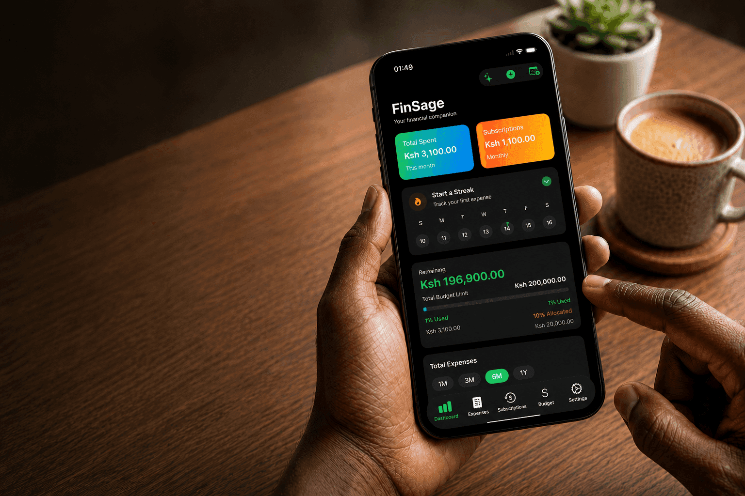 Budget tracking interface